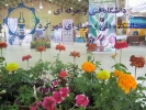 هفته پژوهش