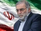 پیام تسلیت ریاست دانشگاه فنی و حرفه ای استان چهارمحال و بختیاری به مناسبت شهادت دکتر محسن فخری زاده
