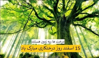 روز درختکاری مبارک باد
