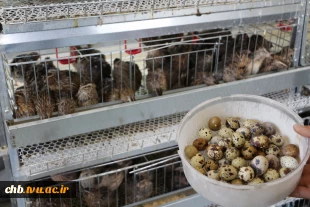 ثبت نام در دانشگاه کشاورزی آغاز شد 3