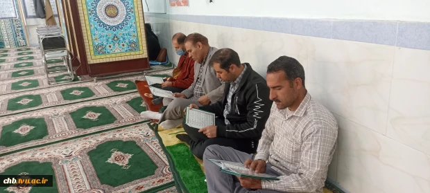 ولادت با سعادت کریم اهل بیت ، امام حسن مجتبی (ع) بر همگان مبارک باد 3