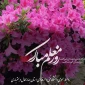 متن پیام ریاست دانشگاه فنی و حرفه ای استان به مناسبت روز معلم